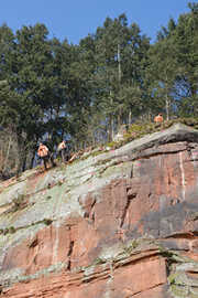 An Seilen gesicherte Bauarbeiter bohren Löcher in den Felsen in Pallien, um dann die Nägel für das Sicherungsnetz anzubringen. 