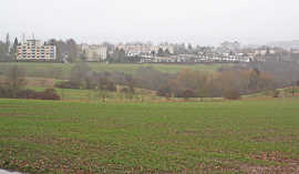 Der Stadtteil Mariahof (im Hintergrund) grenzt an das Hochplateau am Brubacher Hof, das im Entwurf zum Flächennutzungsplan zum Teil als Wohnbaugebiet ausgewiesen ist.
