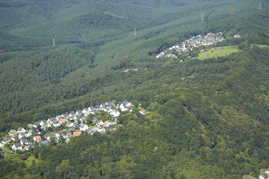 Waldgebiet in Trier