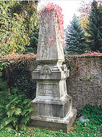 Ungenutzte Grabstätte auf dem Hauptfriedhof