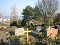 Friedhof Tarforst