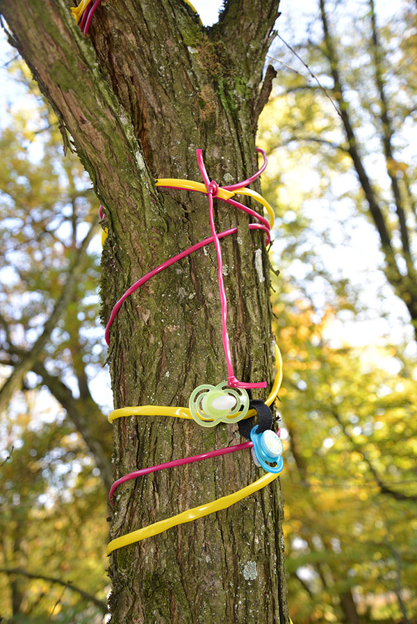 Das Grünflächenamt hat flexible Bänder um den Stamm gewickelt, an die die Kinder ihre Schnuller hängen können. 