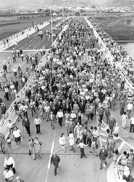 Tausende Triererinnen und Trierer liefen nach der Eröffnung der Konrad-Adenauer-Brücke über diese und überquerten so die Mosel. Foto: Stadtarchiv