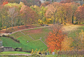 Das Siegerbild von Eva Sonne-Krings für den Kalender zeigt das Amphitheater-Rund im Herbst.