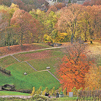 Das Siegerbild von Eva Sonne-Krings für den Kalender zeigt das Amphitheater-Rund im Herbst.