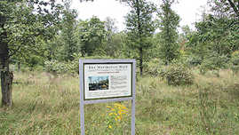Eine Infotafel weist auf das Naturschutzgebiet Mattheiser Wald hin.
