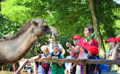 Gleich zu Beginn des Ferienprogramms stand für die Kinder mit dem Besuch des Zoos in Saarbrücken ein echtes Highlight auf dem Programm. Foto: Sparkasse