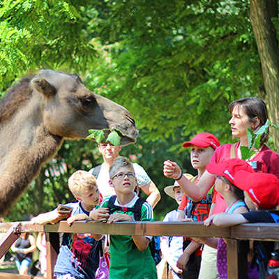Gleich zu Beginn des Ferienprogramms stand für die Kinder mit dem Besuch des Zoos in Saarbrücken ein echtes Highlight auf dem Programm. Foto: Sparkasse