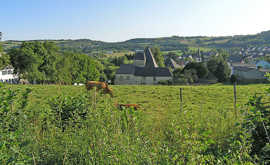 Blick auf den Staddteil Irsch