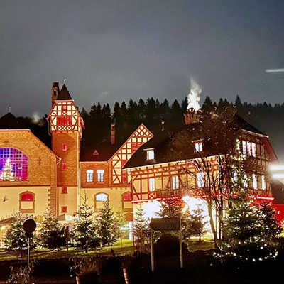 Im Rahmen der neuen Weinwanderung steht auch ein Besuch des „Weihnachtswalds“ im Gut Avelsbach auf dem Programm. Archivfoto: Gut Avelsbach