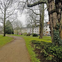 Ein Weg führt durch einen Park mit Wiesen und Bäumen, im hintergrund ist dichte Wohnbebauung zu sehen.