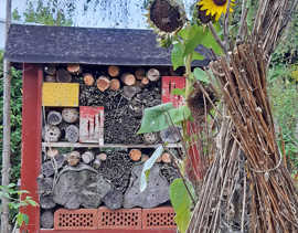 Im Garten von Familie Kneip gibt es verschiedene Lebensräume für Tiere. Am Bildrand stehen Sonnenblumen.