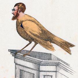 Die Karikatur zeigt den Körper eines Vogels mit Menschenkopf