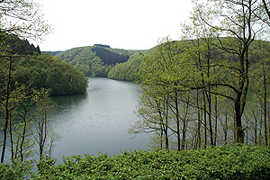 Dichte Wälder säumen die Riveris-Talsperre, die seit 1958 Trier mit Trinkwasser versorgt. Der Stausee fasst rund 5 Millionen Kubikmeter. Foto: SWT