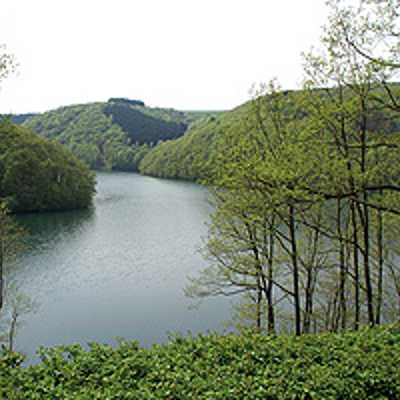 Dichte Wälder säumen die Riveris-Talsperre, die seit 1958 Trier mit Trinkwasser versorgt. Der Stausee fasst rund 5 Millionen Kubikmeter. Foto: SWT