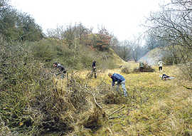 Mitglieder des Naturschutzbunds schneiden im Herbst und Winter die Sträucher auf dem Kahlenberg zurück, damit der Lebensraum für den seltenen Enzian erhalten bleibt.