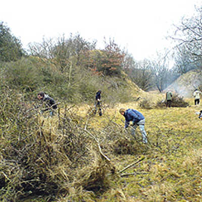 Mitglieder des Naturschutzbunds schneiden im Herbst und Winter die Sträucher auf dem Kahlenberg zurück, damit der Lebensraum für den seltenen Enzian erhalten bleibt.