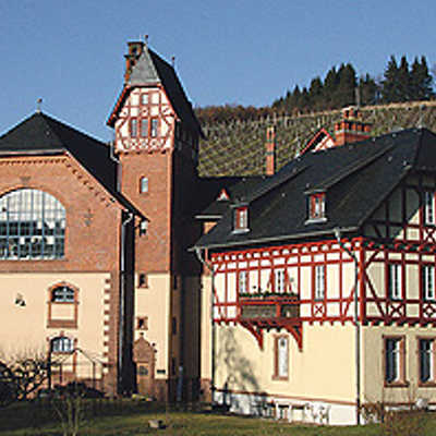 Die Weinbaudomäne im Aveler Tal kann weitergeführt werden.