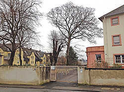 Blick von der Berrnhardstraße auf das bald frei werdende Grundstück des Ordens der "Weißen Schwestern".