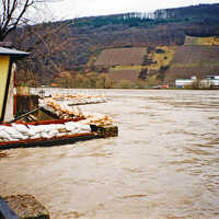 Bei der Flut im Dezember 1993 steht die Mosel an der Oberkante der mit Sandsäcken verstärkten Stadtmauer in Pfalzel.
