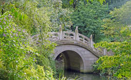 Bogenbrücke im Chinesischer Garten des Duisburger Zoos 