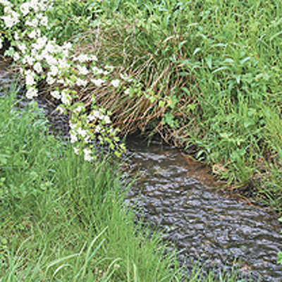 Der Aveler Bach erhält wieder ein natürliches Flußbett.