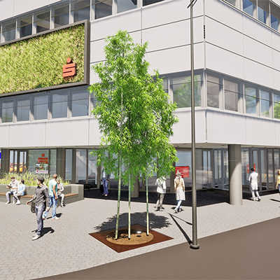 Nach dem Umbau soll die Hauptstelle in der Theodor-Heuss-Allee das erste Gebäude in Trier mit einer begrünten Fassade sein. Abbildung: Sparkasse
