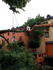 Mitarbeiter von StadtGrün beseitigen einen auf ein Haus im Tempelweg gestürzten Baum. Foto: StadtGrün Trier
