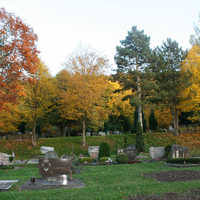 Impressionen vom Südfriedhof