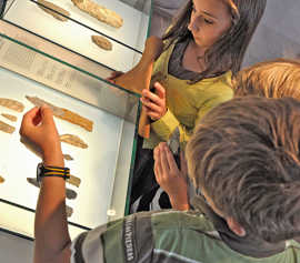 Kinder an einer Vitrine mit Faustkeilen im Landesmuseum. Foto: Landesmuseum/Thomas Zühmer