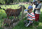 Der vierjährige Simon (vorne) und sein Zwillingsbruder Jakob füttern die Ziegen mit dem Wildfutter, das es in den Automaten zu kaufen gibt.