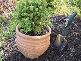 Pflanzerde lässt sich aus Kompost (rechts) sowie Sand und Gartenerde selbst herstellen. Foto: A.R.T.