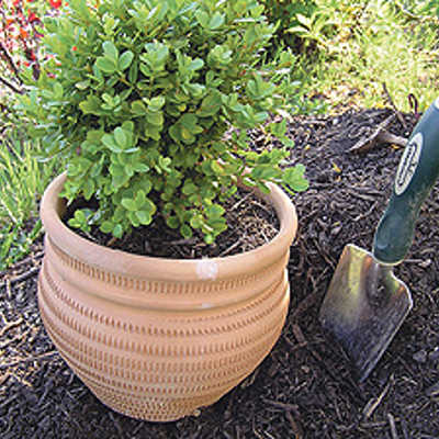 Pflanzerde lässt sich aus Kompost (rechts) sowie Sand und Gartenerde selbst herstellen. Foto: A.R.T.