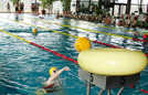 Bei einem Wettbewerb mussten die Schüler mit einem Ball über die Bahn im großen Becken schwimmen und ihn danach in einem Ring versenken, der auf den Startblöcken lag. Entscheidend für das Mannschaftsergebnis war die Zahl der erzielten „Körbe“.