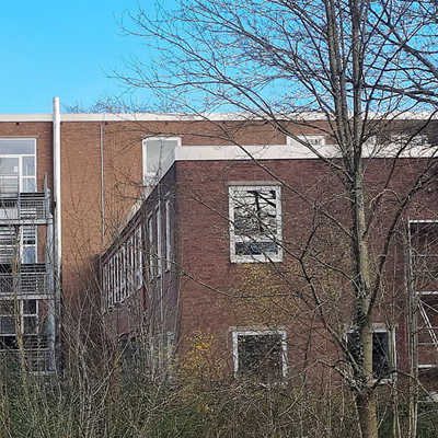 Das FWG ist seit 1961 in einem Gebäudekomplex an der Ecke Olewiger Straße/Spitzmühle untergebracht, der zum 400-jährigen Jubiläum des Gymnasiums eingeweiht worden war. Das vorherige Gebäude war im Zweiten Weltkrieg weitgehend zerstört worden. 