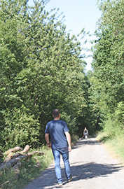 Spaziergänger im Mattheiser Wald Spaziergänger im Mattheiser Wald