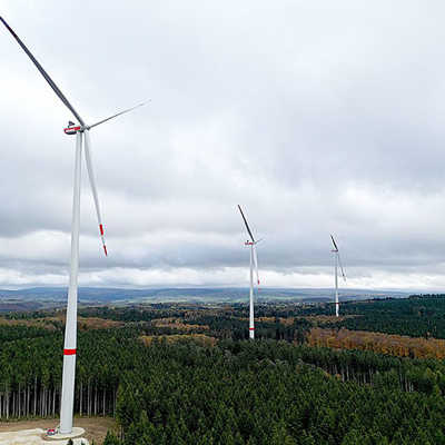 Die Waldflächen rund um die neuen Windräder sollen demnächst wieder aufgeforstet werden. Foto: SWT