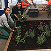 Sabine Richie, Tim Hinske, Niklas Esch und Mattis Loquay präsentierten ein Blumenbeet mit Pflanzenumrandungen.