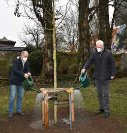 Der frühere OB Klaus Jensen (links) und sein Amtsnachfolger Wolfram Leibe gießen den frisch angepflanzten Apfelbaum.