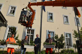 Julian Schumann (l.), Michael Feiten (2. v. l.), Bernd Gesellchen (r.) und Niklas Herpel (im Hubsteiger) vom StadtGrün-Amt drapieren auf den über 40 Fensterbänken des Rathauses neue Blumenkästen mit Bienenschleierkraut und Sommerjasmin. OB Wolfram Leibe (2. v. r.) dankte dem Team für seinen Einsatz.