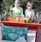 Lena Liebeskind und Leon Willems starteten eine eigene Aktion für den kleinen Park und verkauften an einem Stand selbst gezüchtete Pflanzen.