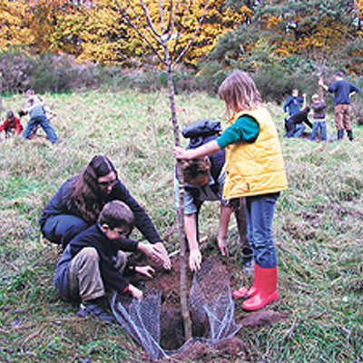 Revierförsterin Kerstin Bendiks und Marlies Wirtz von den Naturfreunden Quint  (vorn, 2. und 3. v. l.) pflanzen mit zwei Biewerer Grundschülern einen Steinapfelbaum.