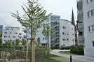 Im Herz Jesu-Garten entstanden seit 2007 mehr als neue 100 Wohnungen. Die Anlage in Trier-Süd liegt in fußläufiger Nähe zur Innenstadt. Ein Markenzeichen sind mehrere ellipsenförmige Neubauten.