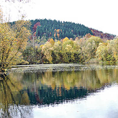 Blick vom Südostufer auf den Kiesweiher bei Oberkirch. Die Wasserfläche beträgt rund 1,2 Hektar.