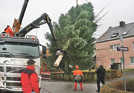 Ein Kran hebt den rund 18 Meter großen Tannenbaum auf einen Hänger, der ihn anschließend auf den Hauptmarkt bringt.