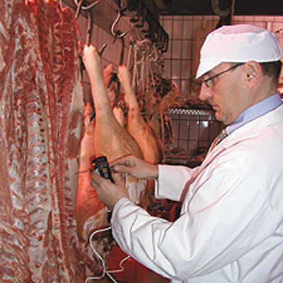 Lebensmittelkontrolleur Alois Reichert prüft die Temperatur von frischem Schweinefleisch in der Kühlkammer einer Metzgerei. Dieser Wert ist ein wichtiger Indikator für die Qualität der Ware.