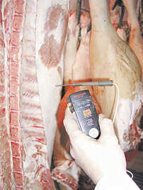 Die Kerntemperatur von frischem Schweinefleisch ist für die Kontrolleure ein wichtiger Indikator für die Qualität der Ware.