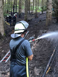 Die Wehrleute von Berufsfeuerwehr und drei freiwilligen Löschzügen haben den Brand im Jungenwald gelöscht. Nachlöscharbeiten liefen bis in den Abend hinein. Foto: Presseamt