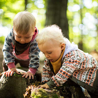 Kleinkinder spielen im Wald