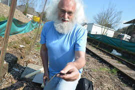 Tierökologe Martin Schorr evakuiert eine Mauereidechse aus einer Eimerfalle am Rand der alten Eisenbahnstrecke in Ruwer.